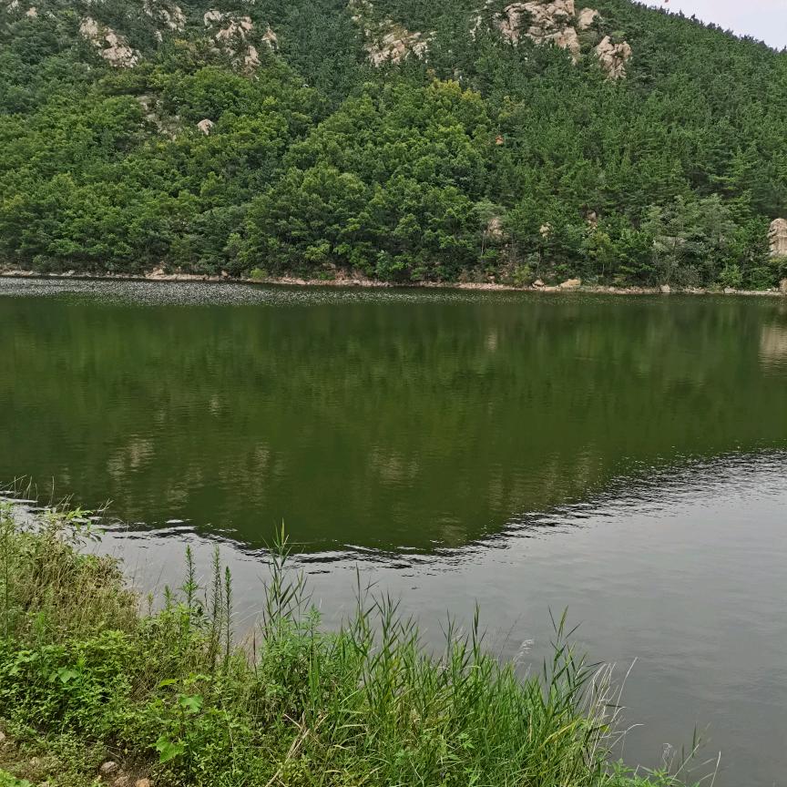 老郝