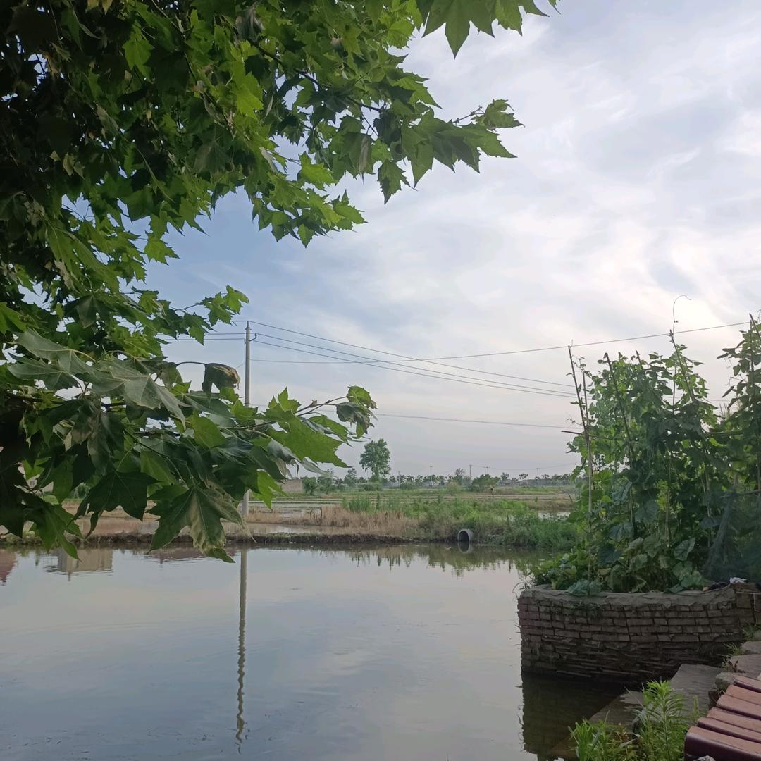清风吹影