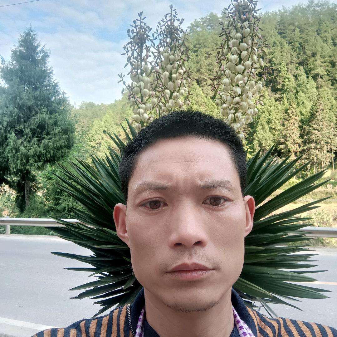 片皮烤鸭唐老鸭