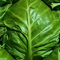 为了生活干就完了