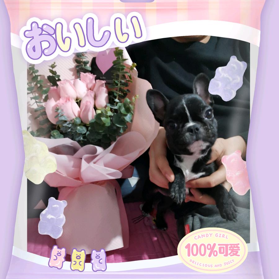 芋泥波波妞🌸