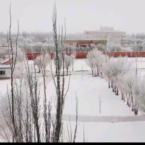 风吹过18年的夏天