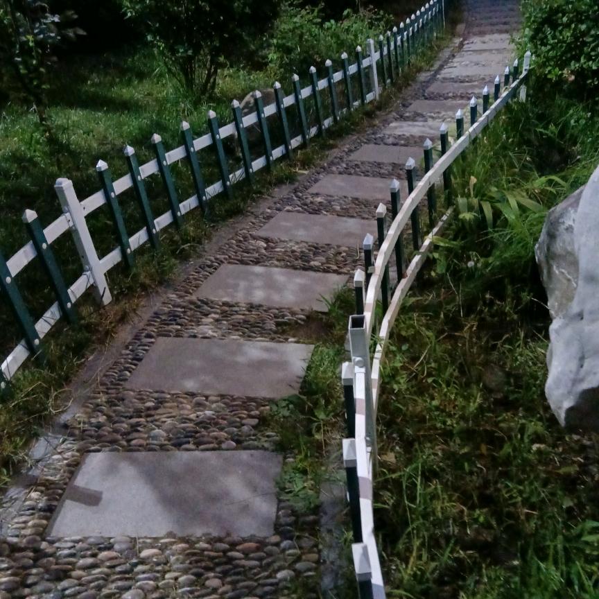 永远情深