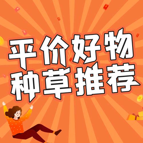 青康好物推荐