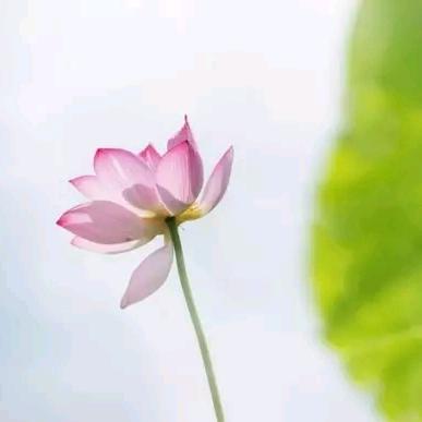云淡风清