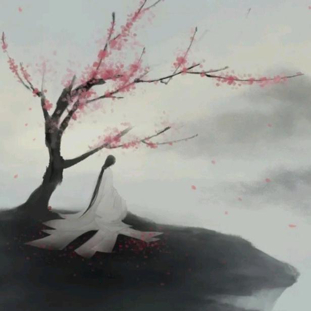 典典不是点点