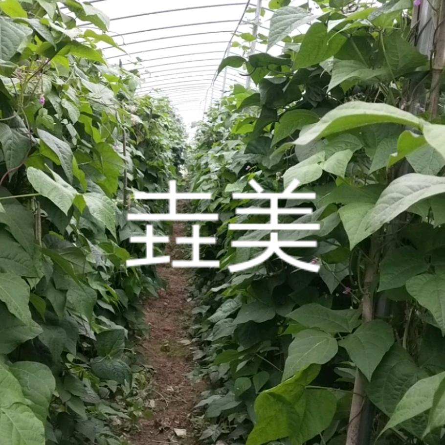 垚美土特产直销