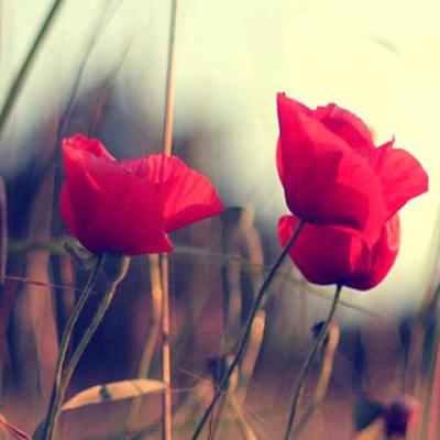 👉在水一方👈