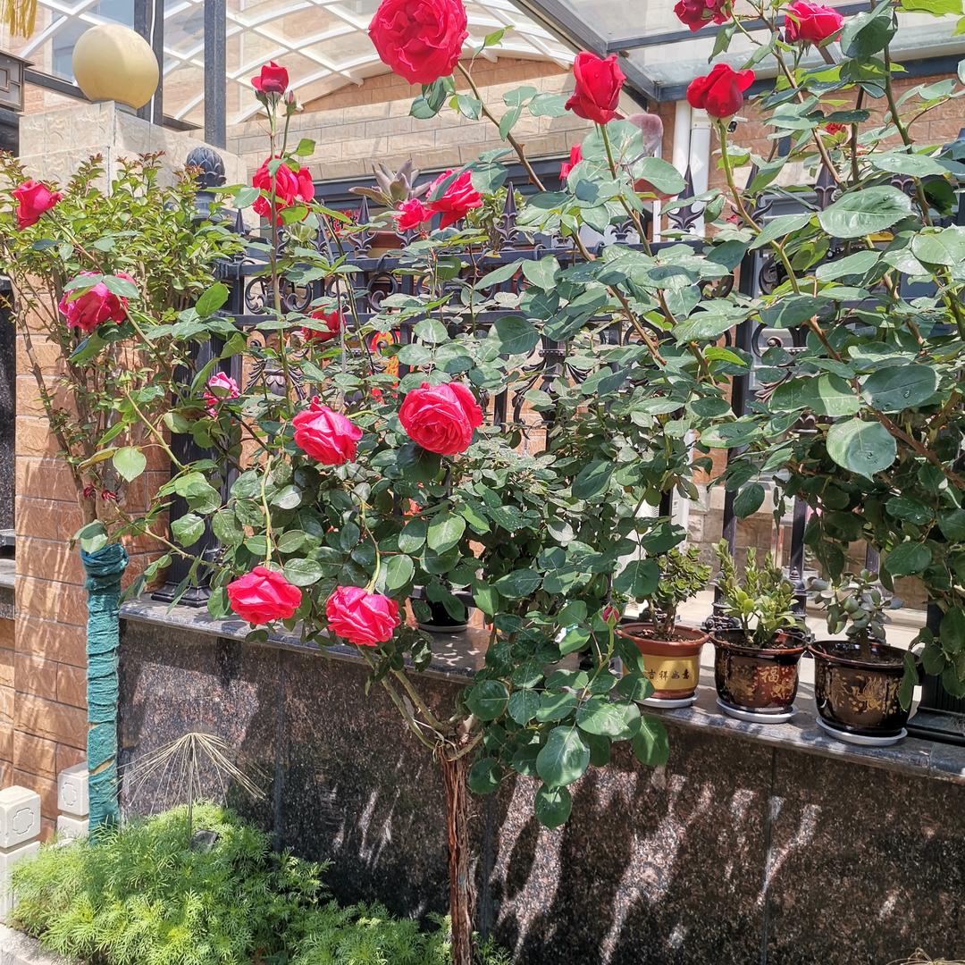 全百惠超市昌宏店