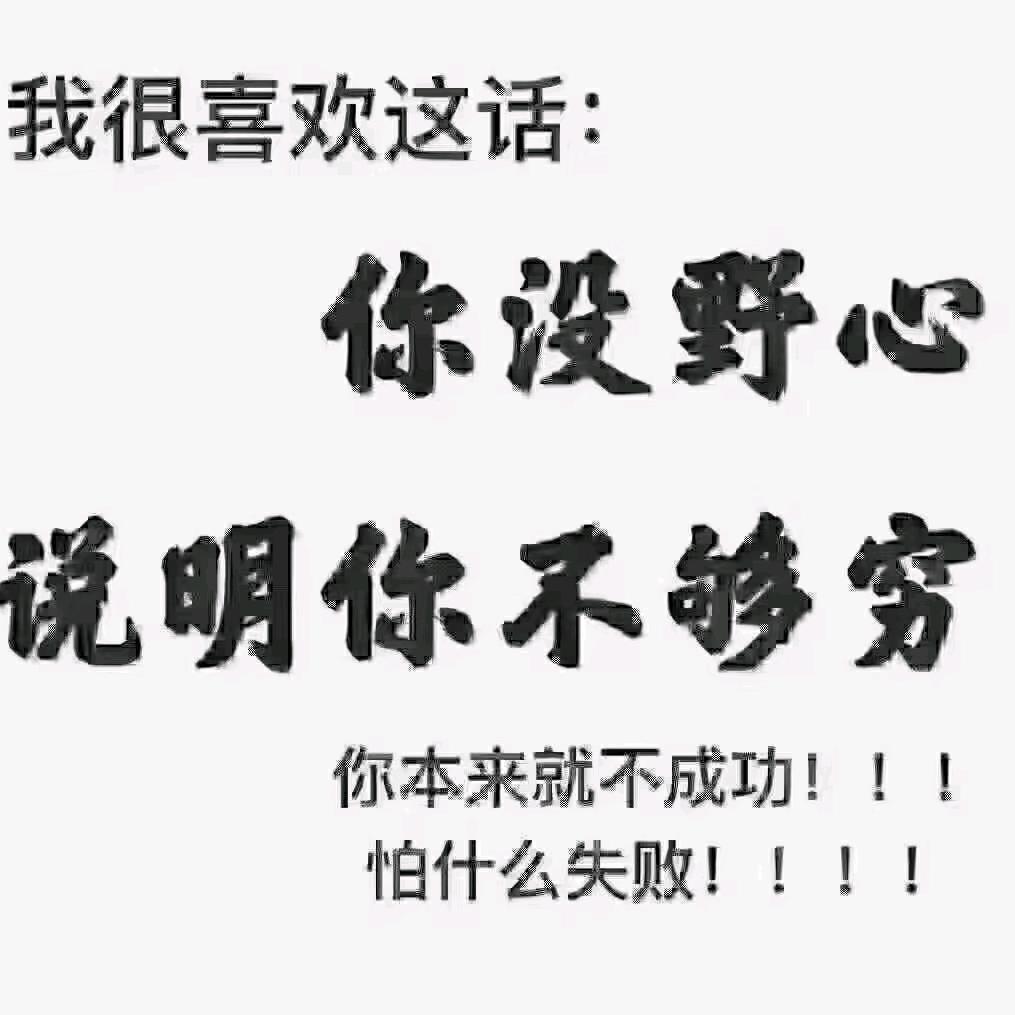 O自由侠客O