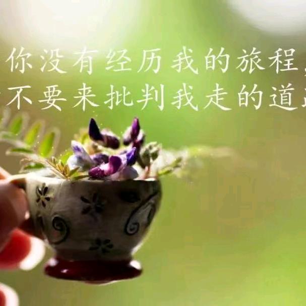 ꧔ꦿ℘不💞᭄᪲ᩚ꯭ᩚ语꧔ꦿ🍋