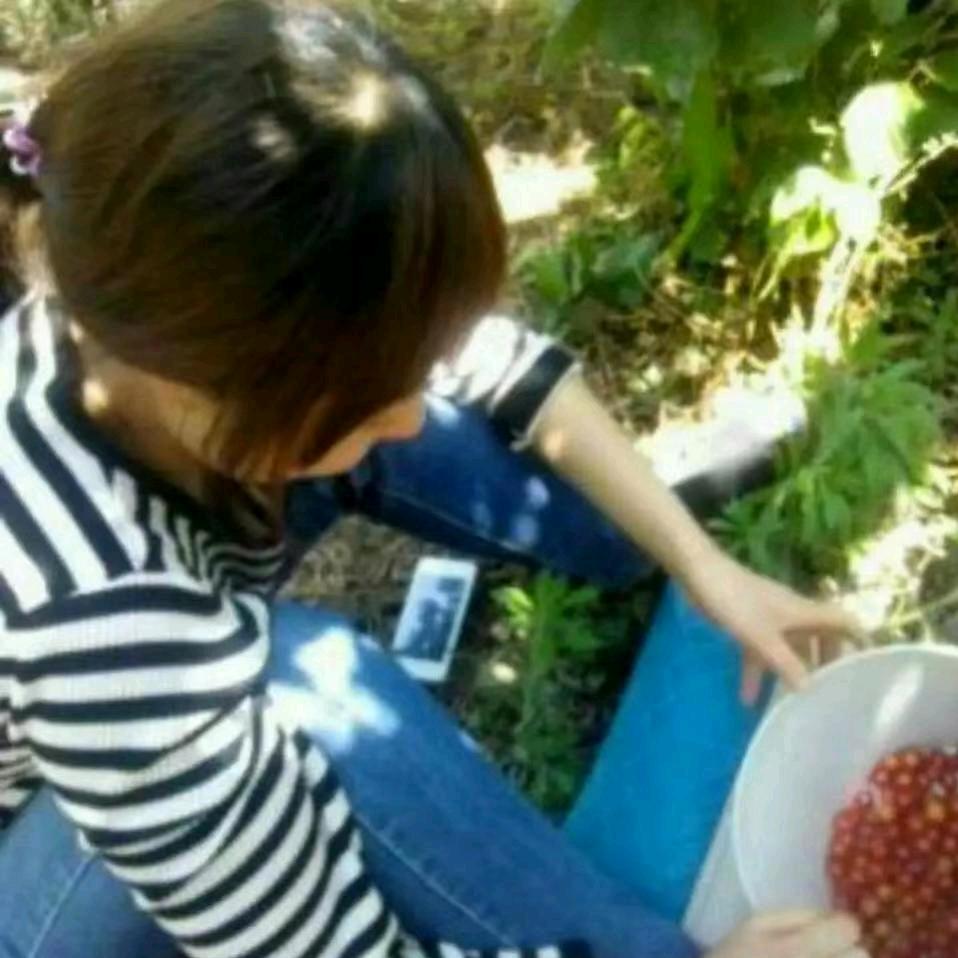 米花糖