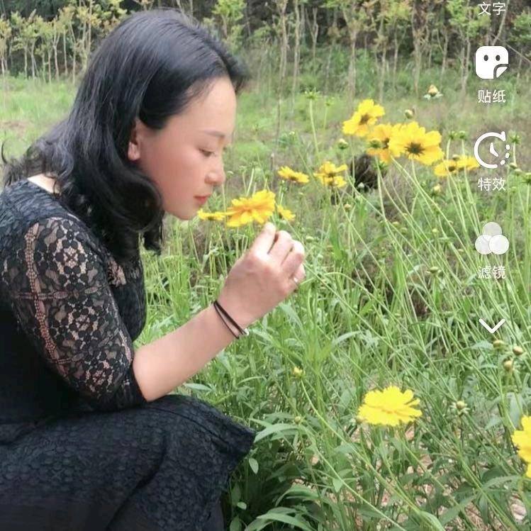 红樱桃梅子