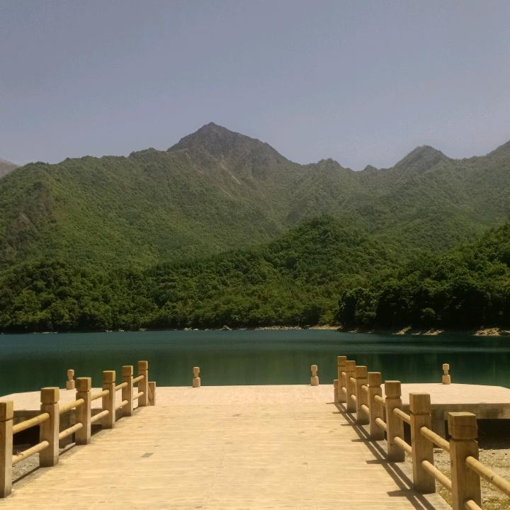 老蒋