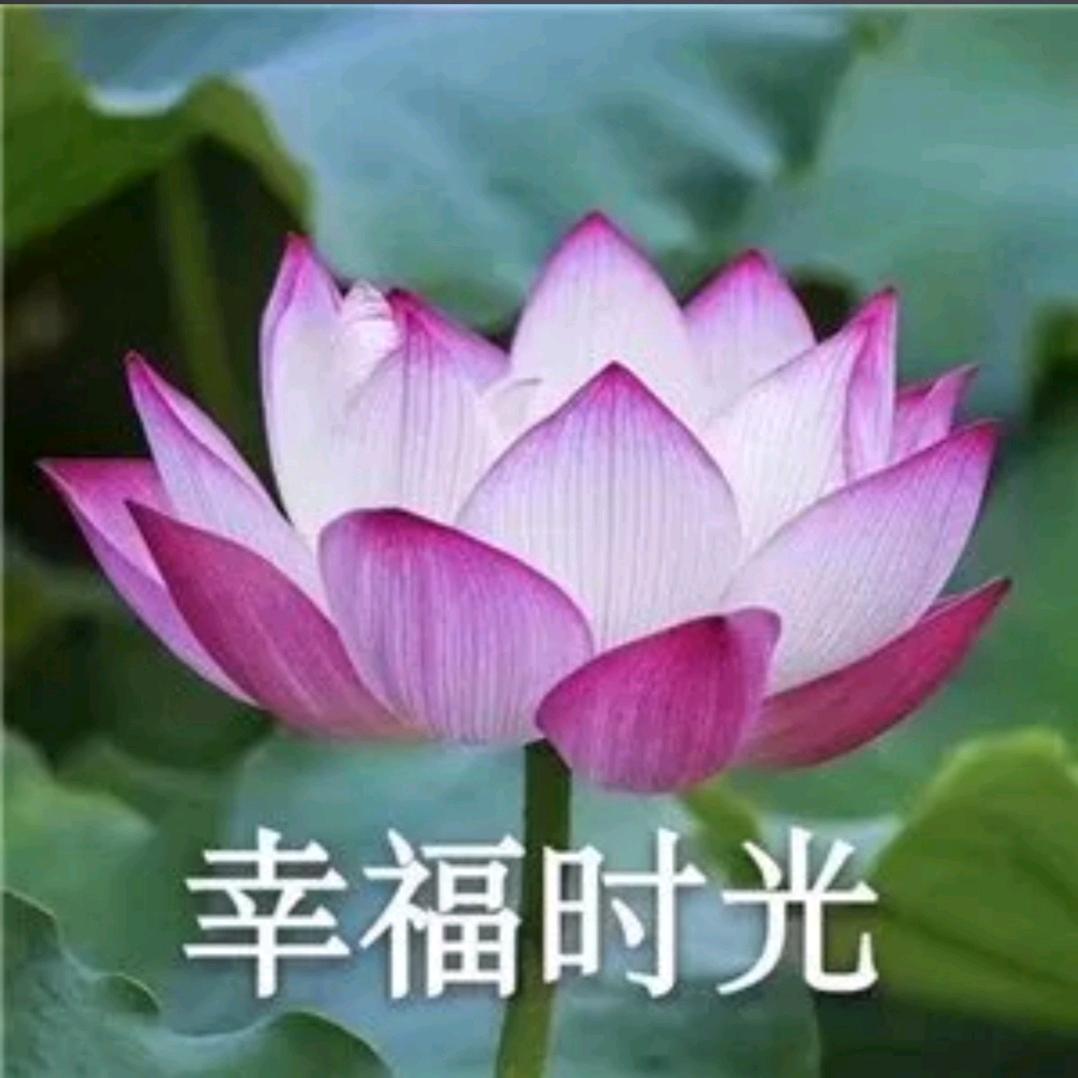 新民街刀削面
