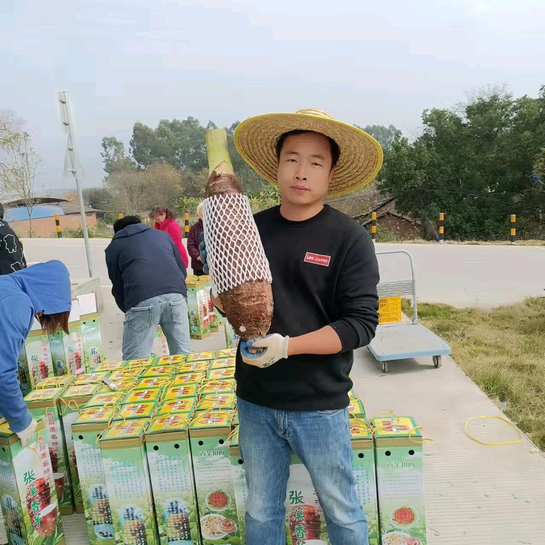 乐昌市匠心优选店