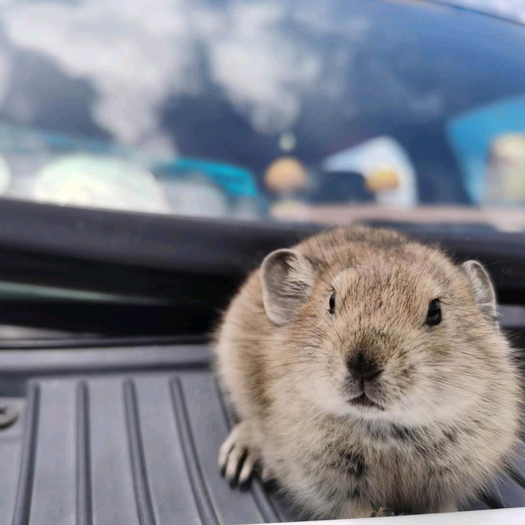 大西北—富贵.旅拍@