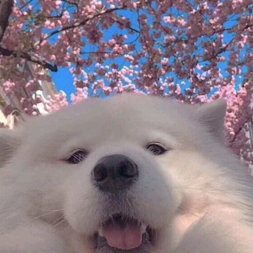 以颂