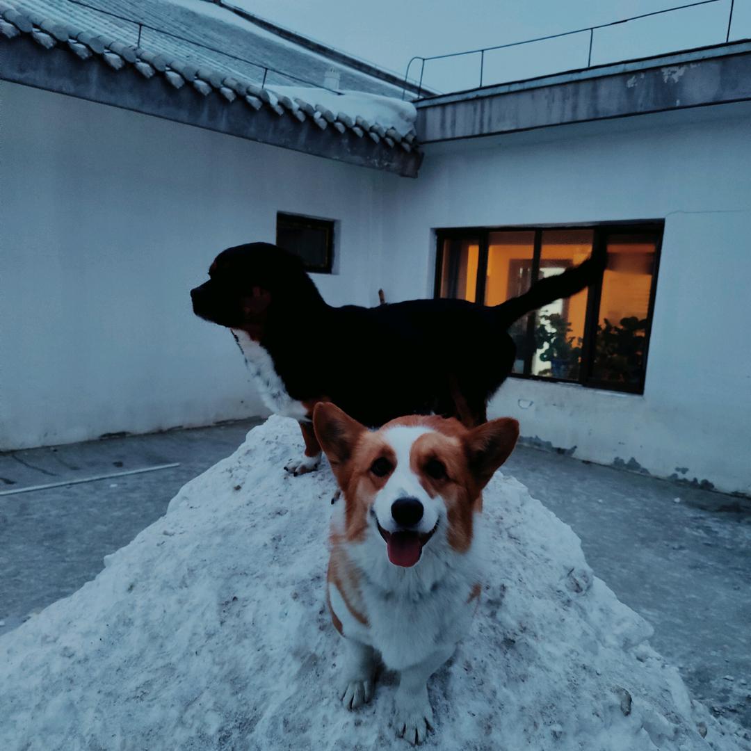 于志成