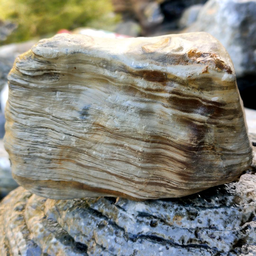 ꦼྀ⃝🕊删⃨忆ᮨ້ꦿɞ࿐