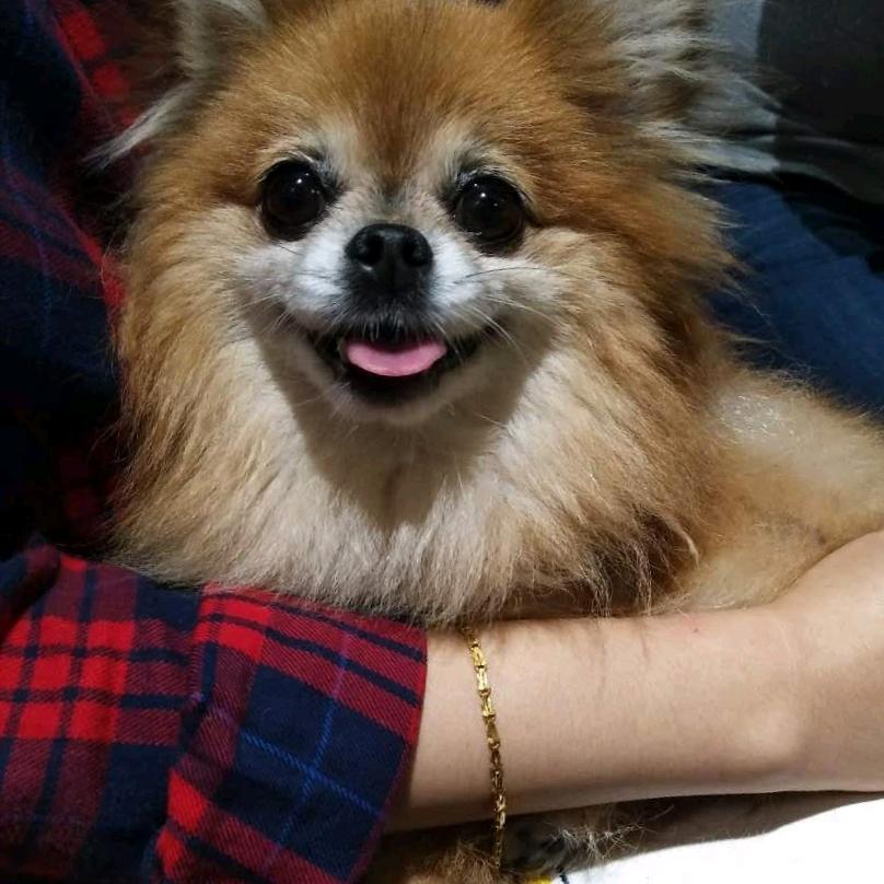 素素头像