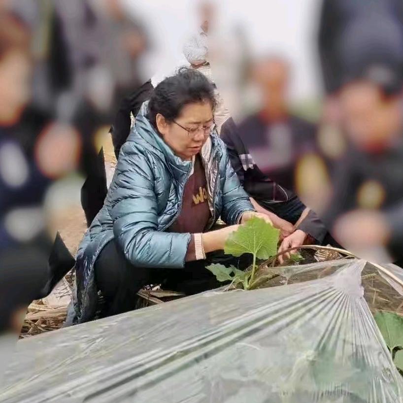 袁宝玲-种植技术详讲