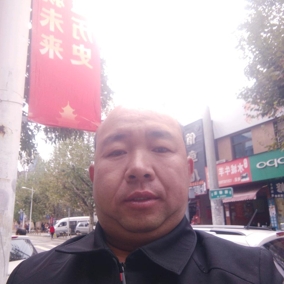 伤心的狼