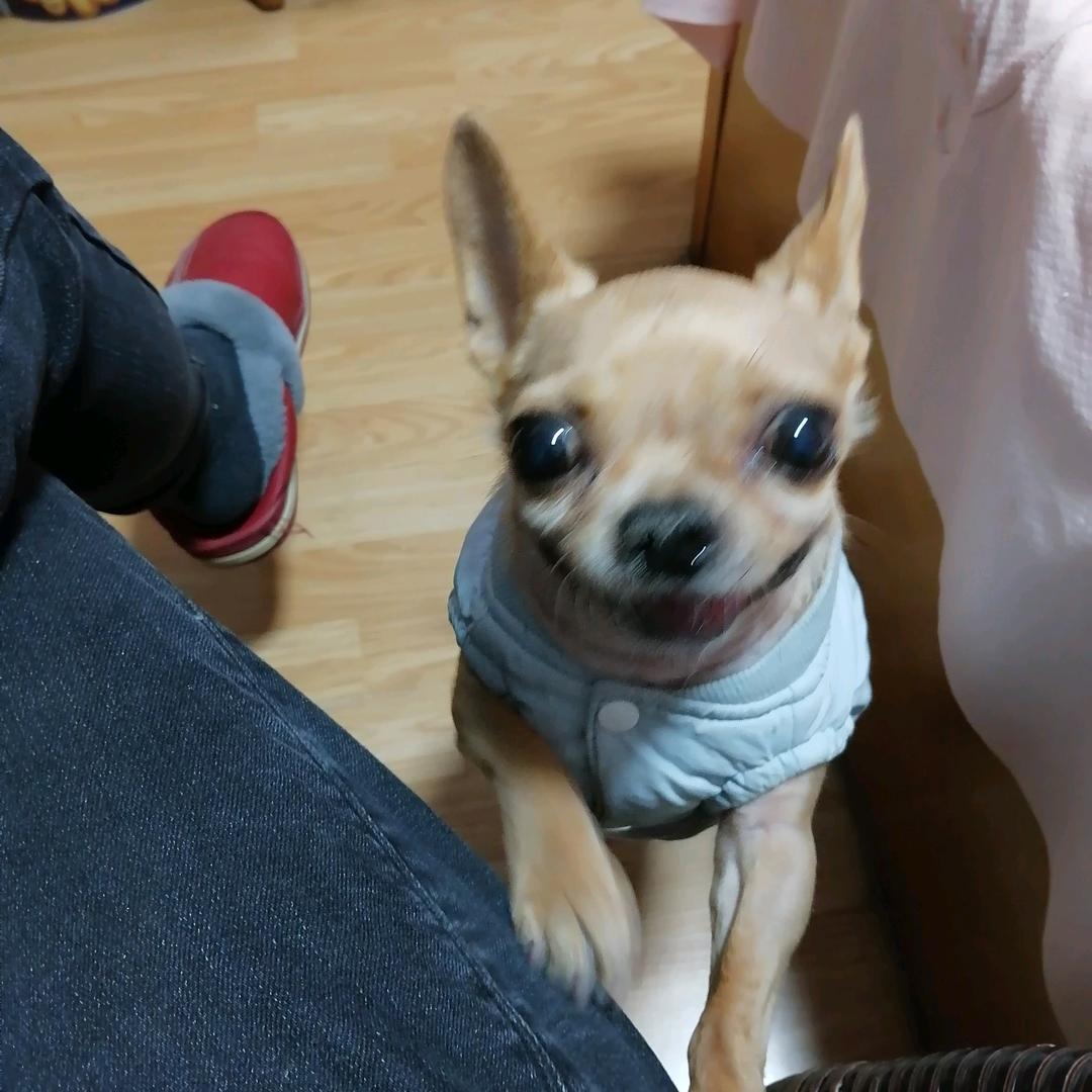 朱杰克