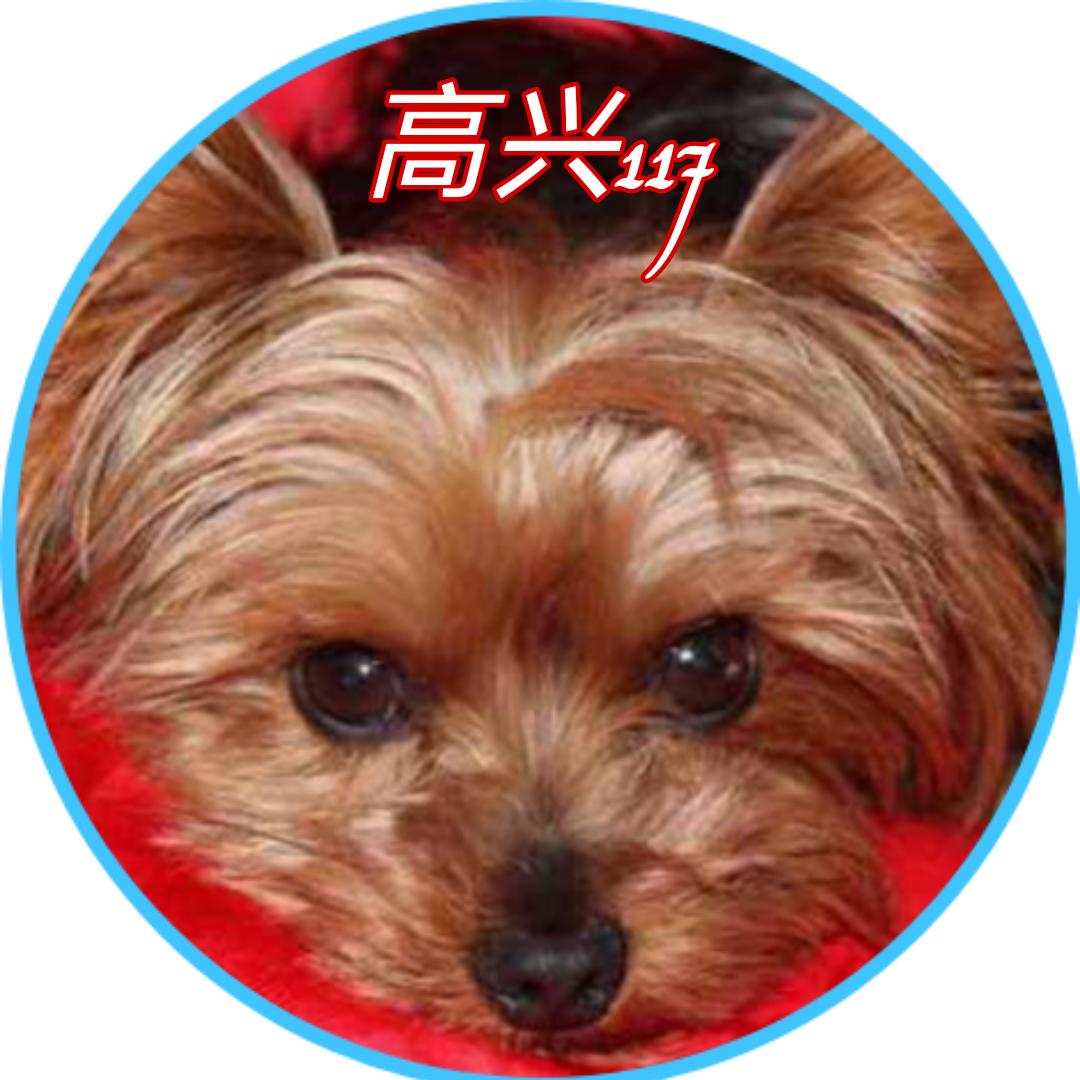 高兴117