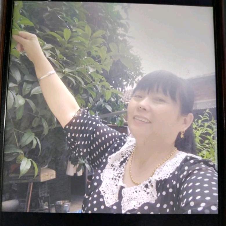 承接绿化卫生