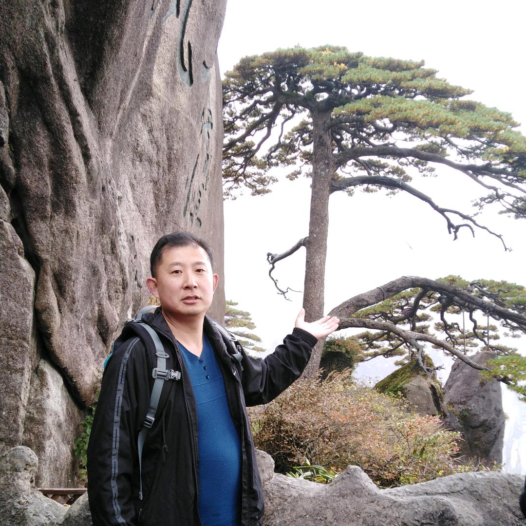 陈炳照