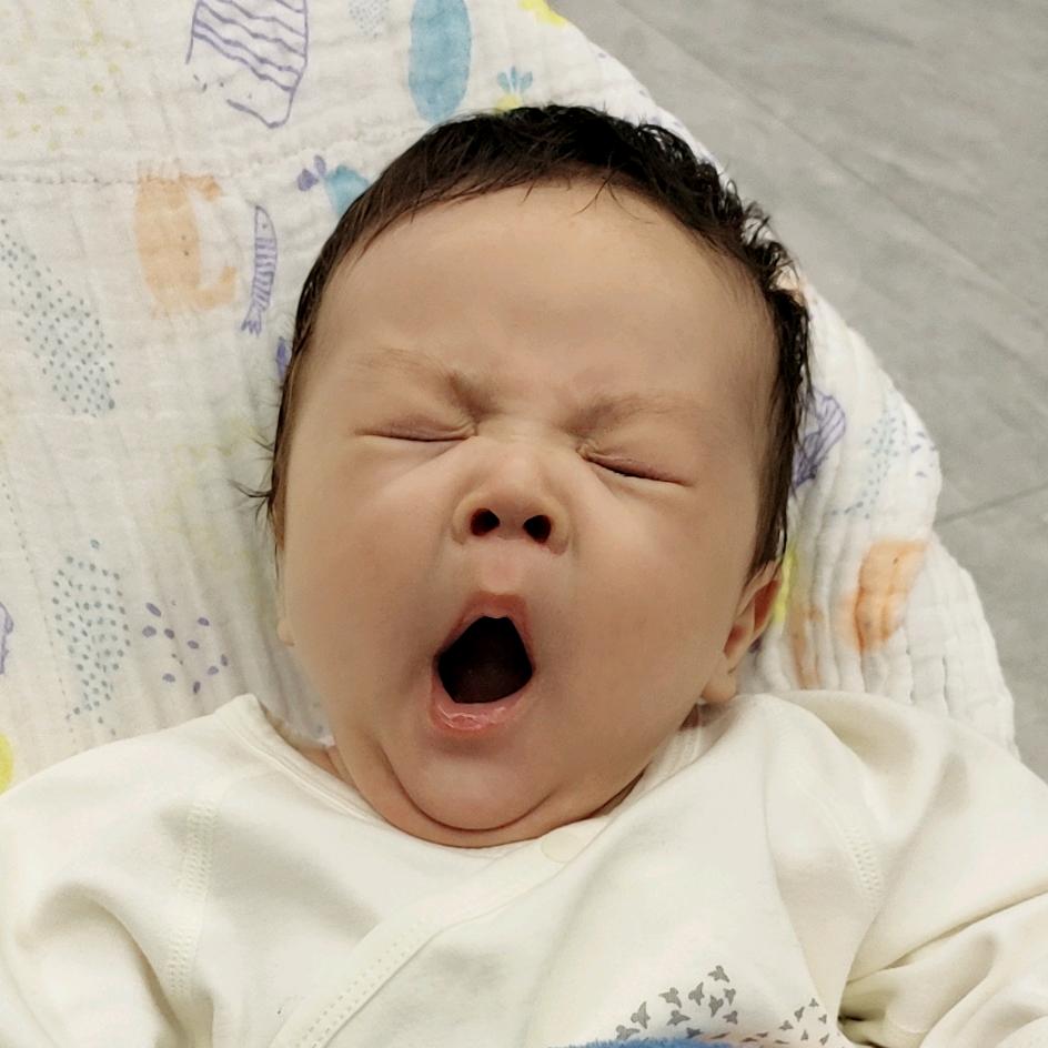 小鸟妈妈咪呀
