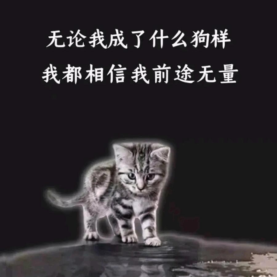 醉酒当歌，人生几何