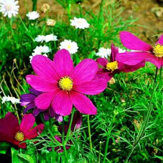 用户明天会更好