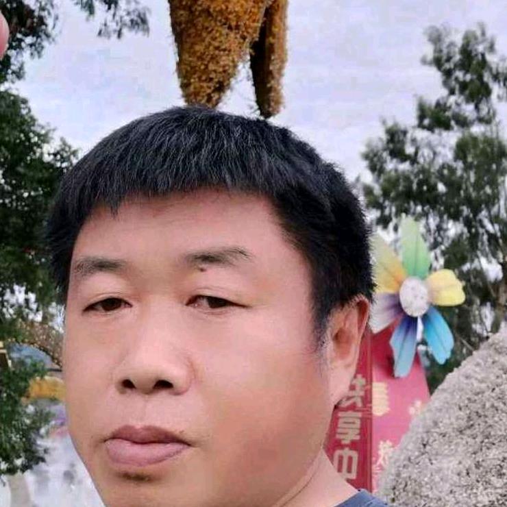 抛哥