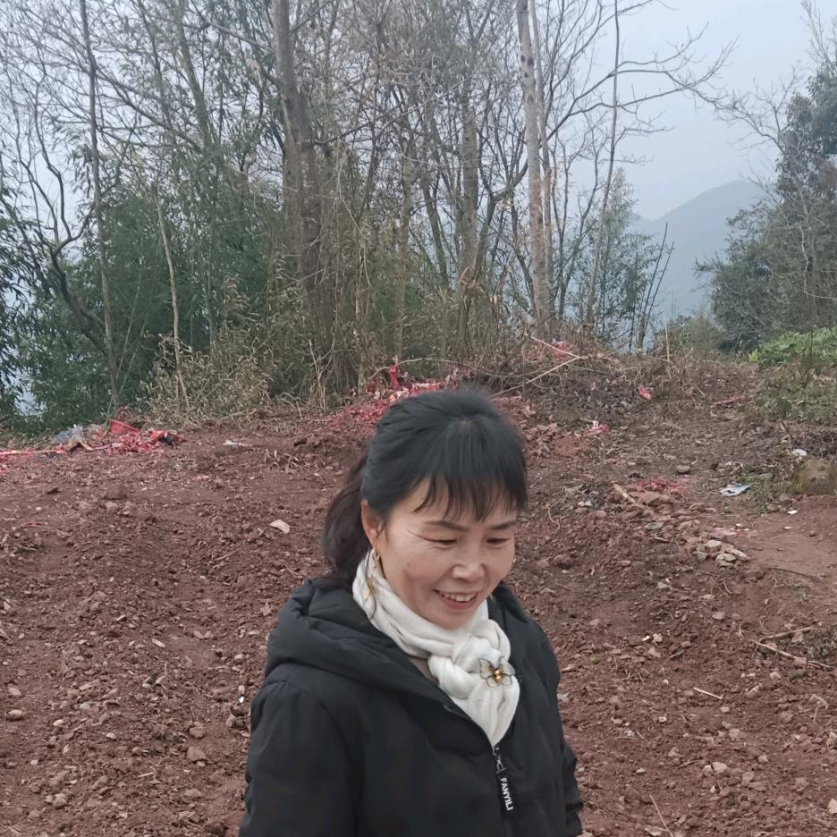 东奔西跑