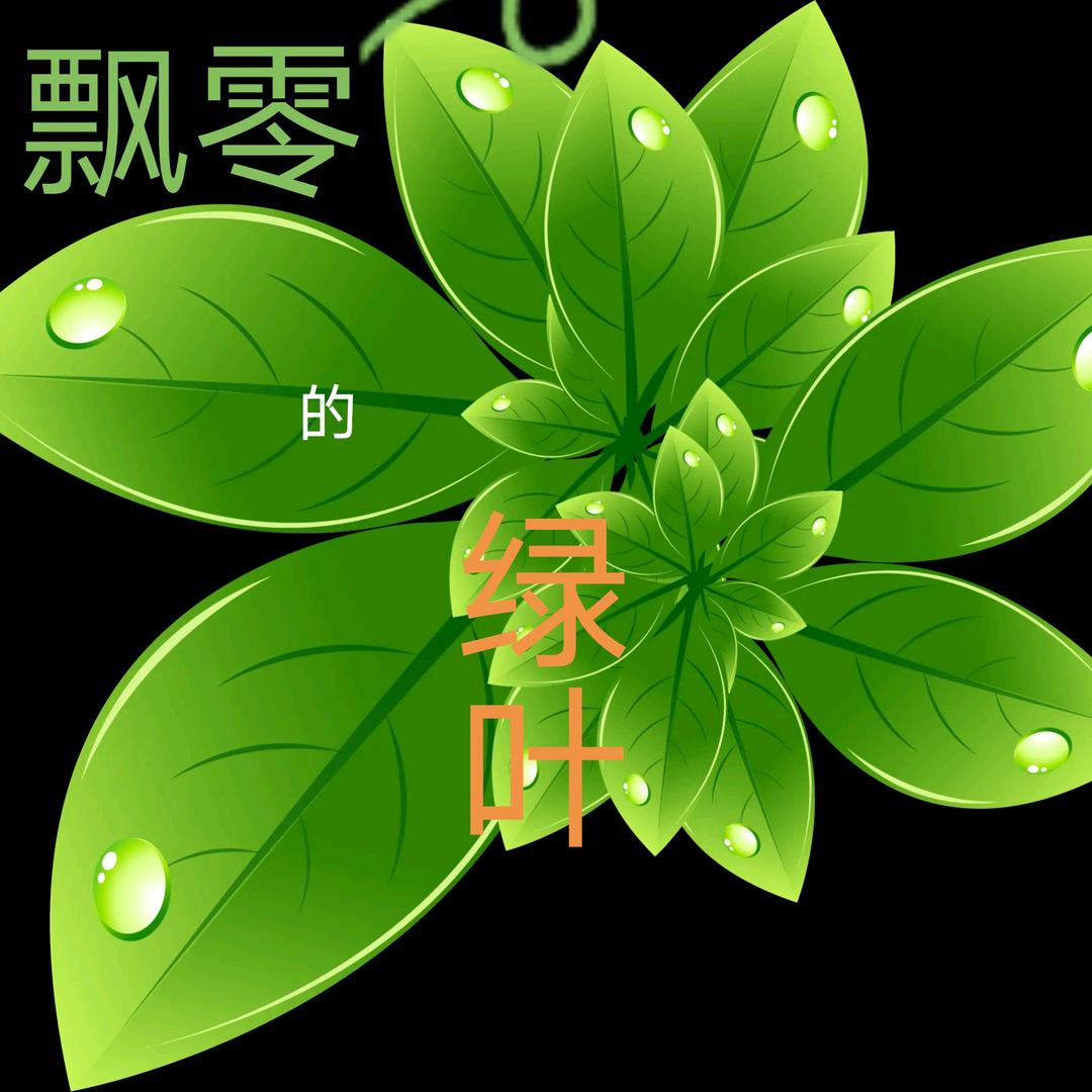 飘零的绿叶