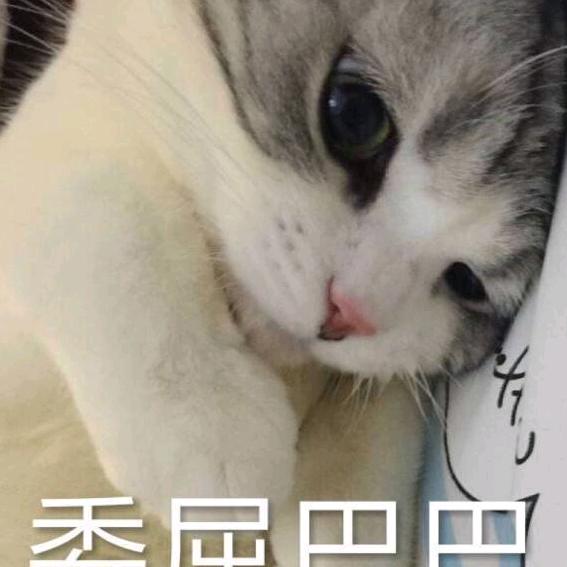 红豆