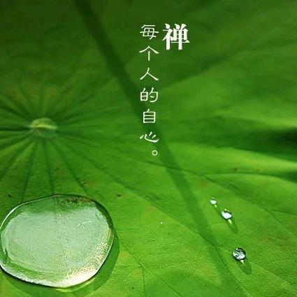 随缘自在
