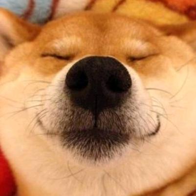 星星撩眼