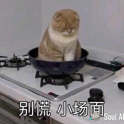 自若清风