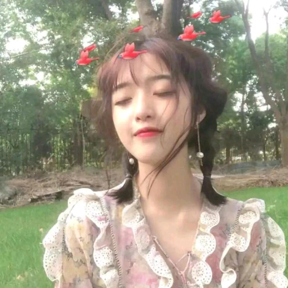 🐰贝尔🐰头像