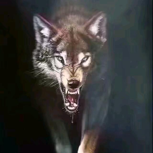 老狼来了快跑吧！