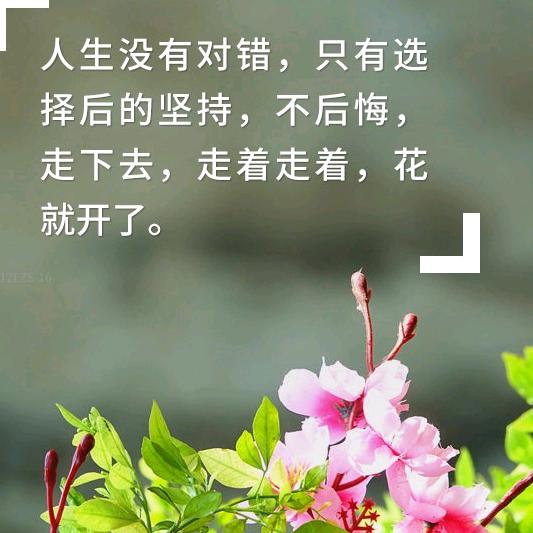 漫妮
