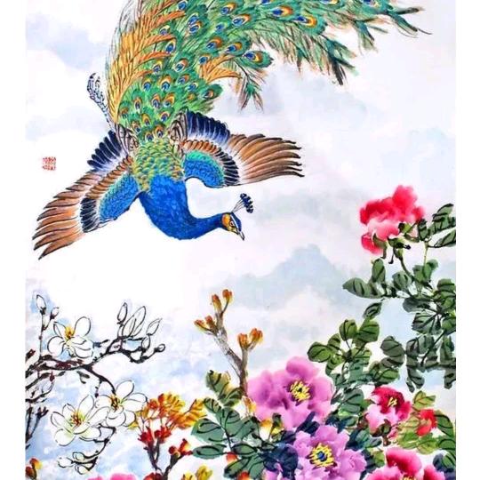 朝阳姐（19：59）开播