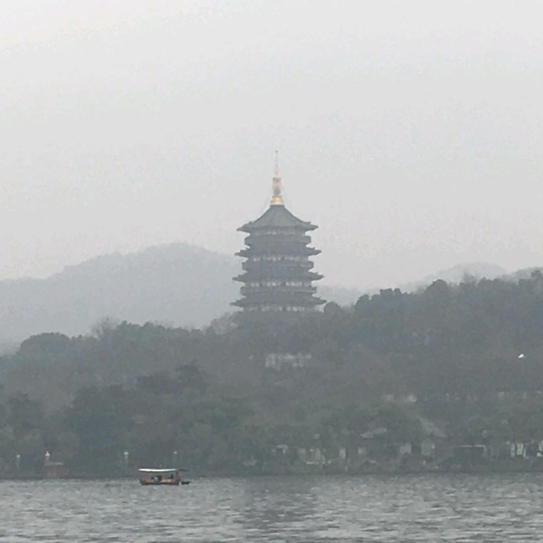 静待🌸开