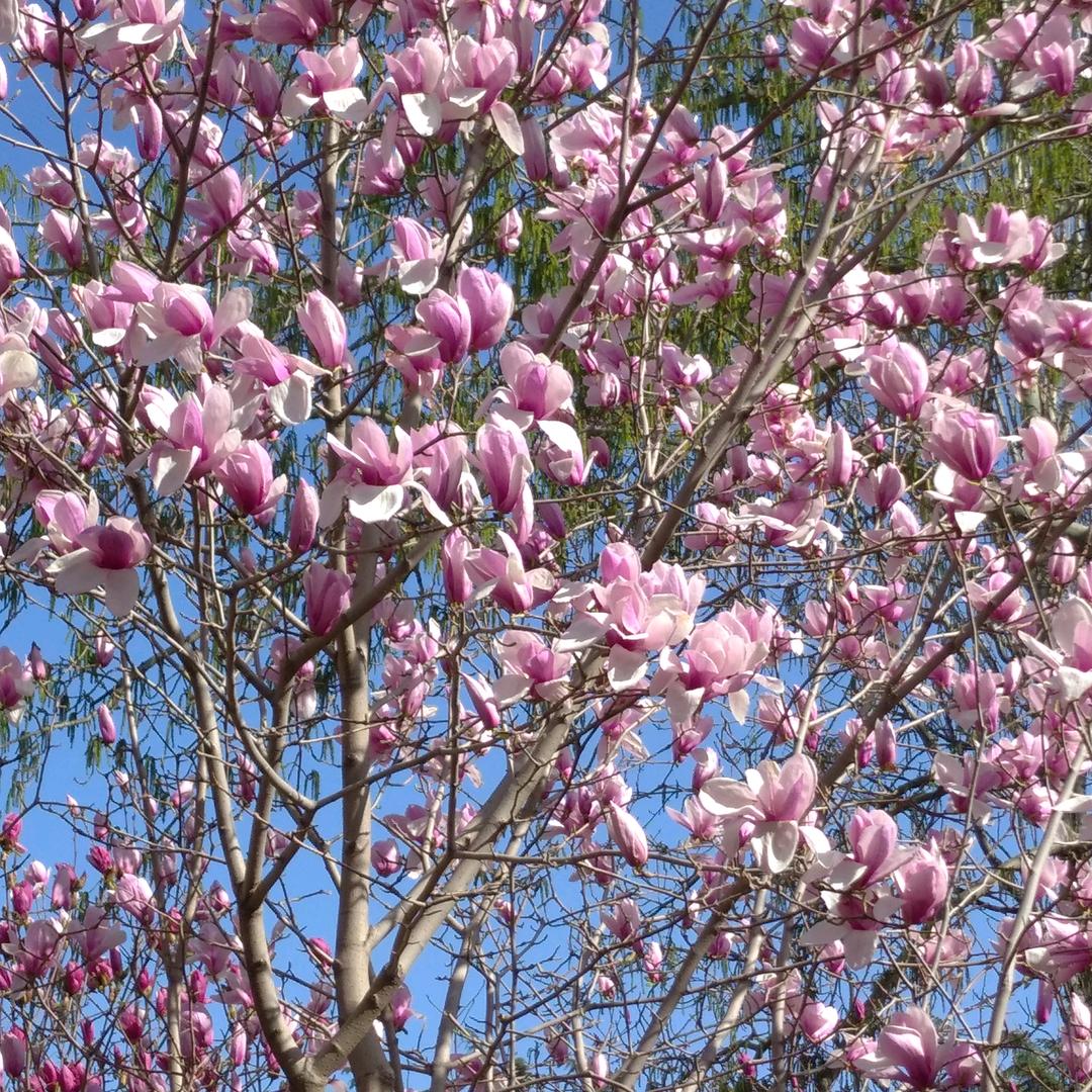 买房，买车，家政服务。