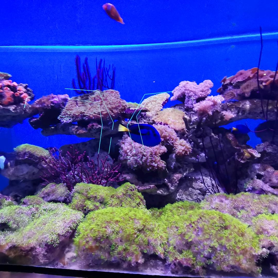 ꧁ℳᥫᩣ爷们💰爱财 ღ᭄