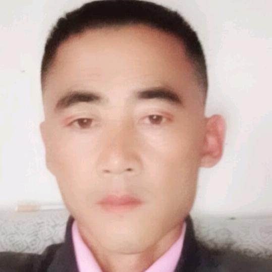 鸿哥在等你