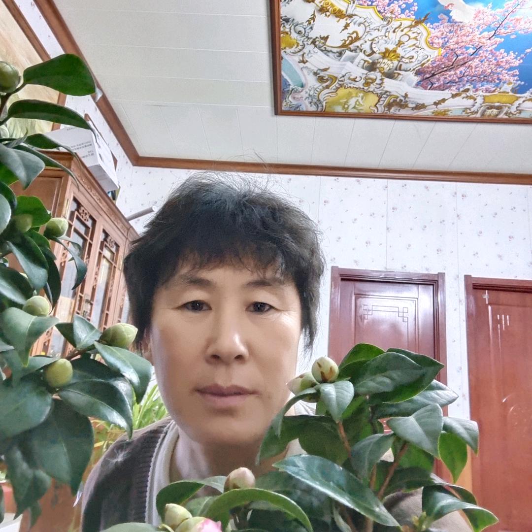 鑫宇陶瓷，胶州店